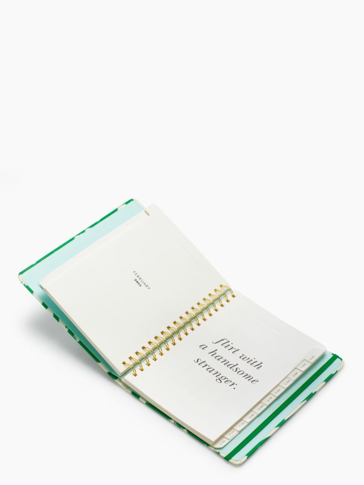 2015 17 Month Large Agenda   Green Painterly Cheetah, , Product
