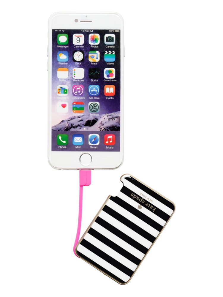 Micro Stripe Slim Battery Bank, WORN SILVER, Product