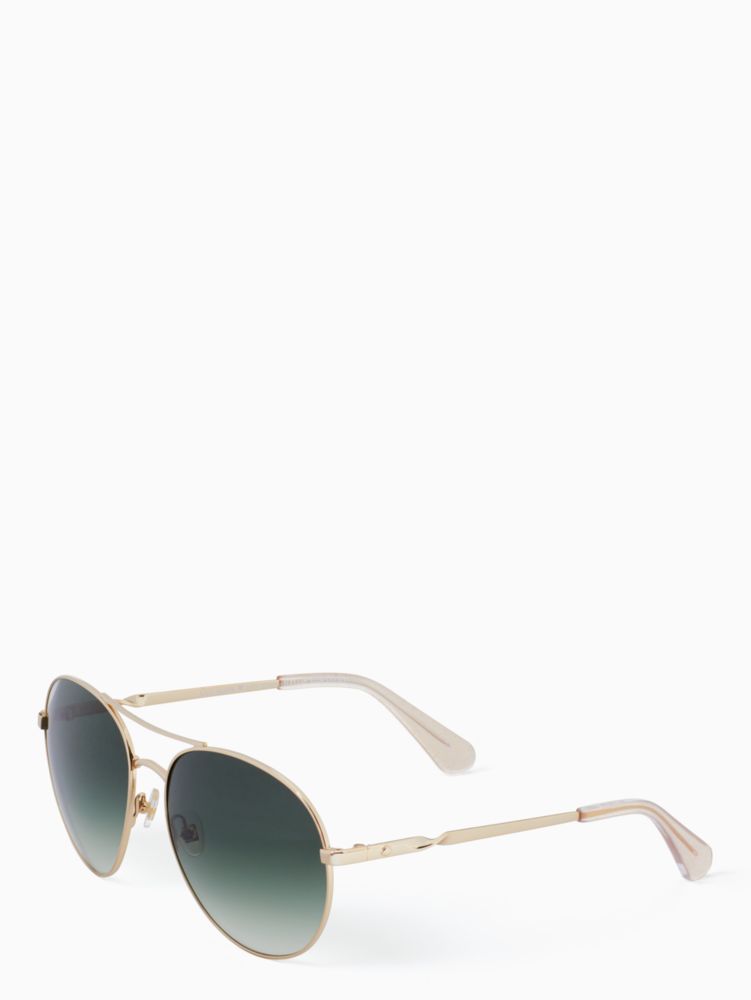 Joshelle Sunglasses | Kate Spade NL display picture 1