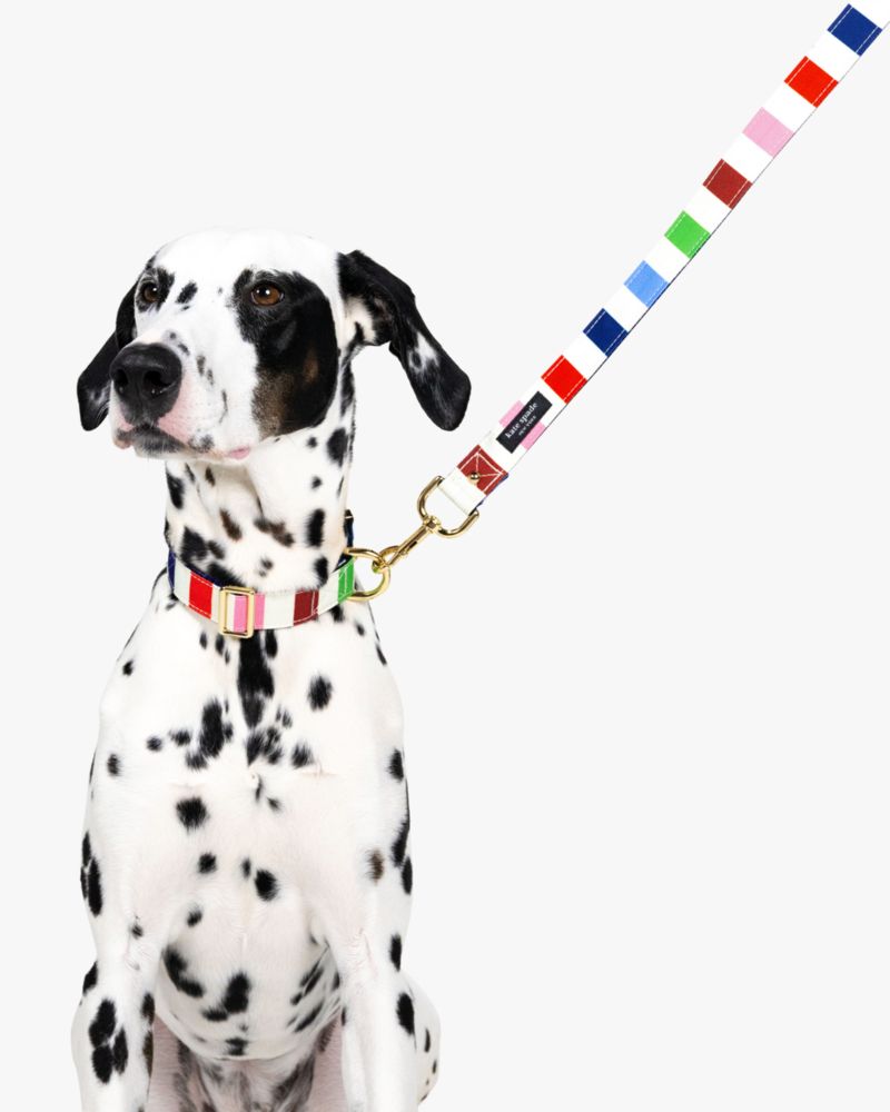 Kate Spade,Adventure Stripe Collar M/L,Multi