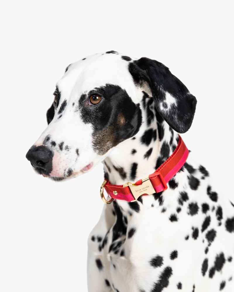 Kate Spade,Colorblock Collar,Raspberry