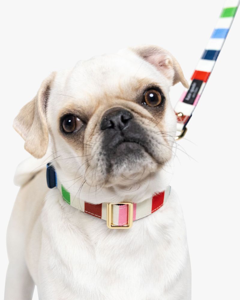 Kate Spade,Adventure Stripe Collar,Multi