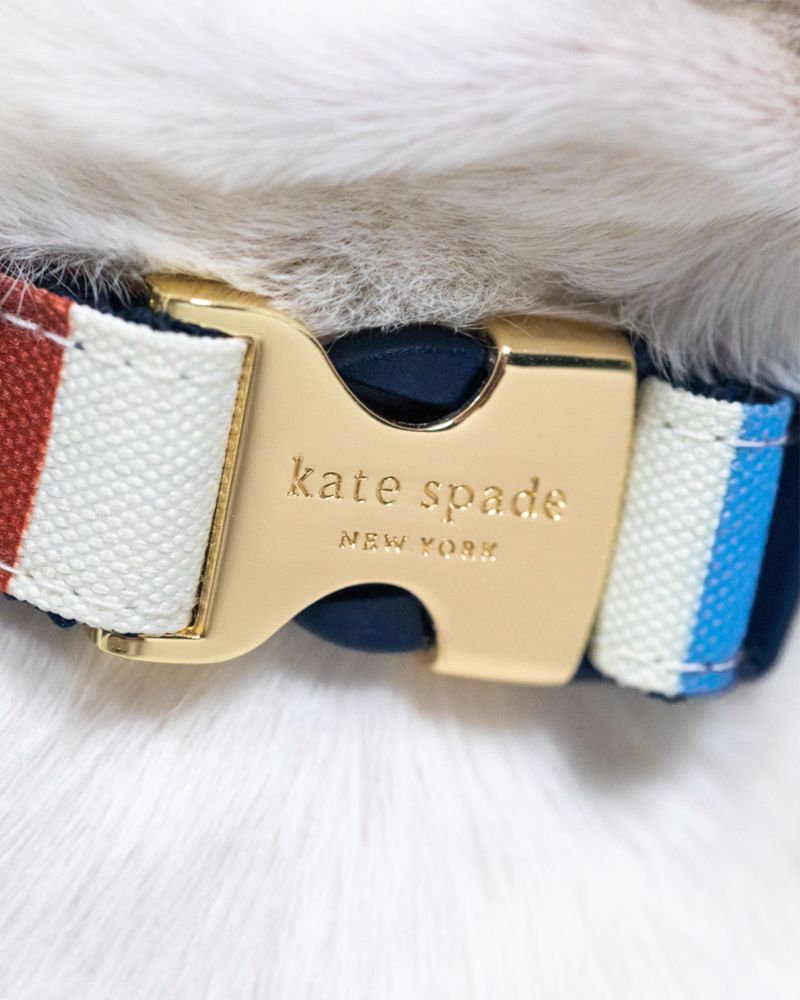 Kate Spade Dog Bracelets