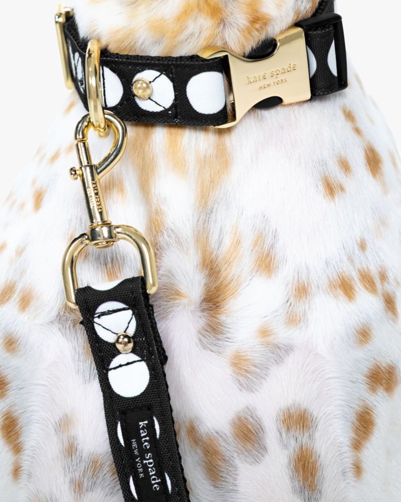 Kate Spade New York Cute Dog Collar, Gold Metal Buckle Dog Collar