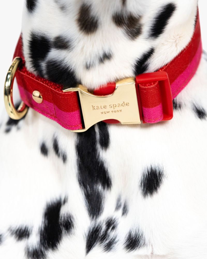 Kate Spade,カラーブロック S/M カラー,ペット,ラズベリー