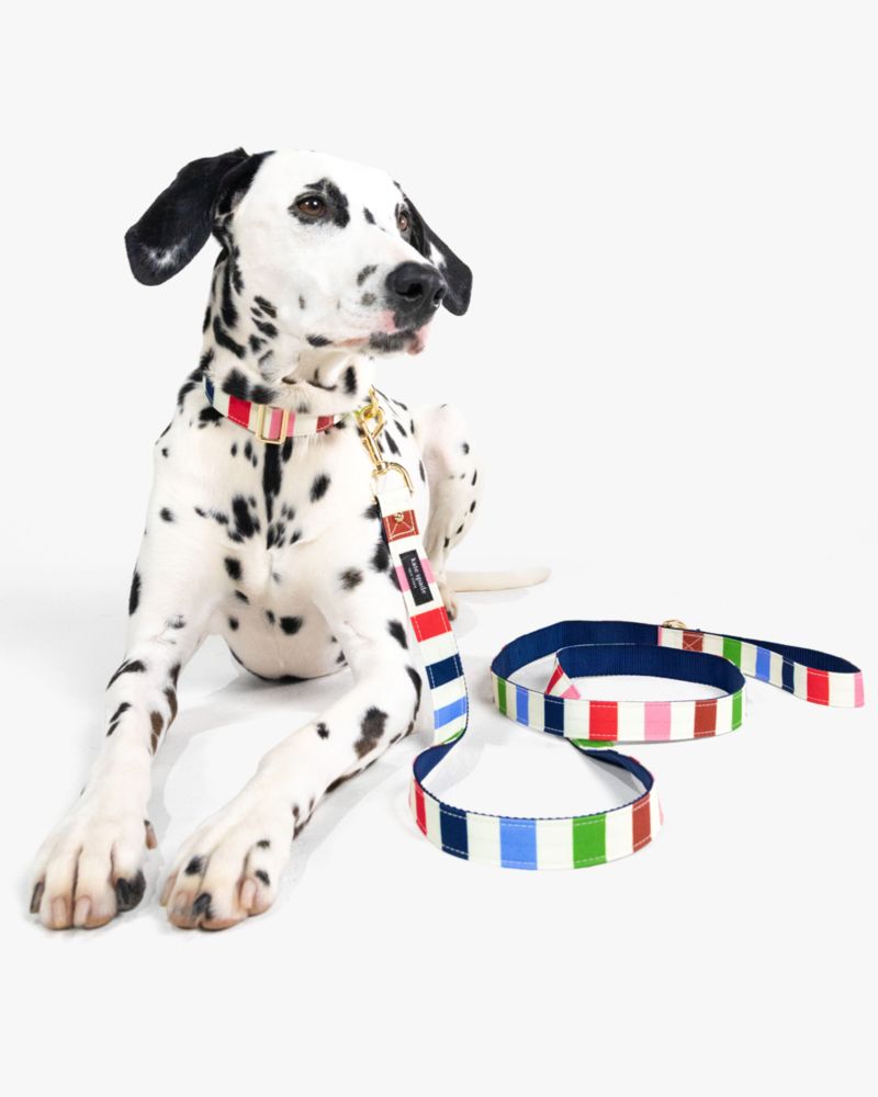 Kate Spade,Adventure Stripe Leash M/L,