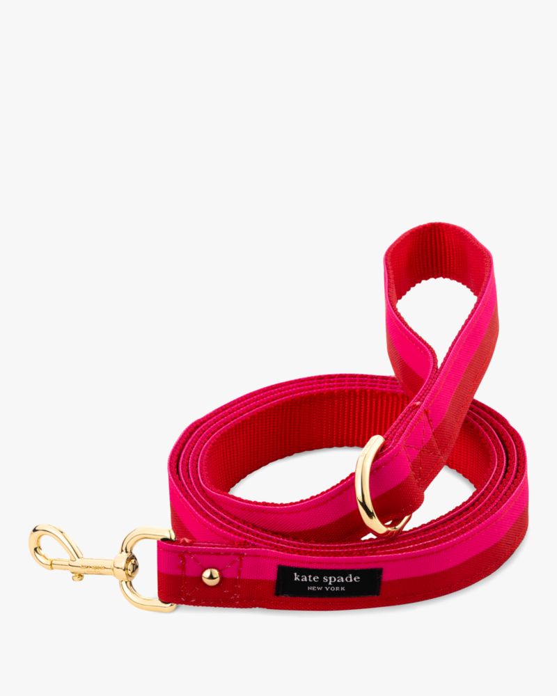 Kate spade best sale dog accessories