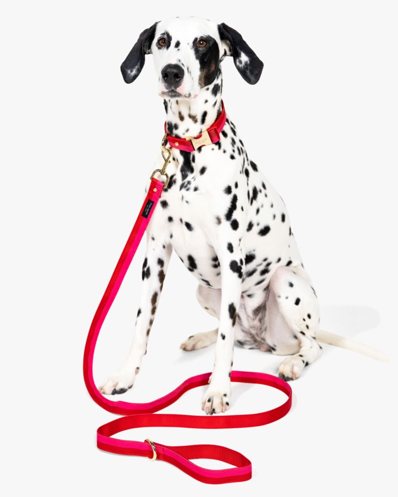 Kate Spade,Colorblock Leash,