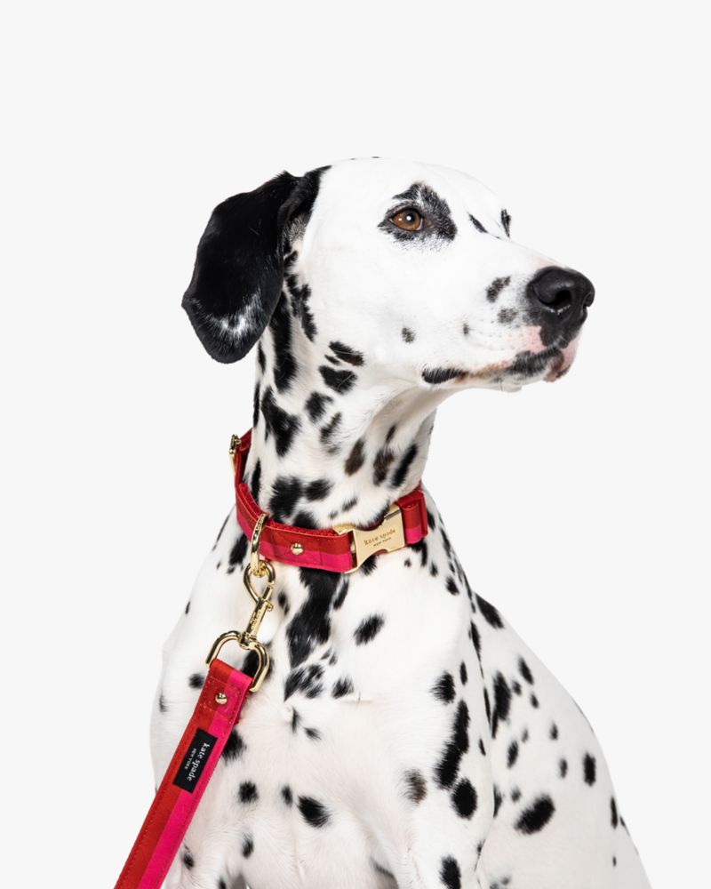 Kate Spade,Colorblock Leash,