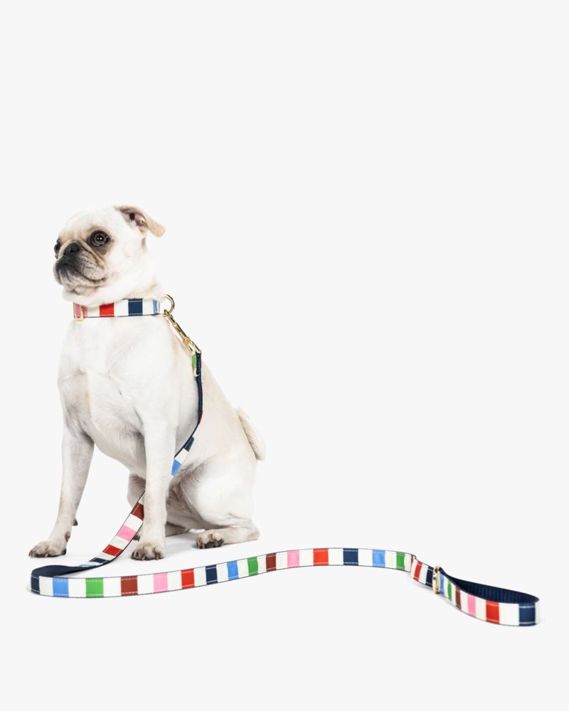 Kate Spade,Adventure Stripe Leash S/M,