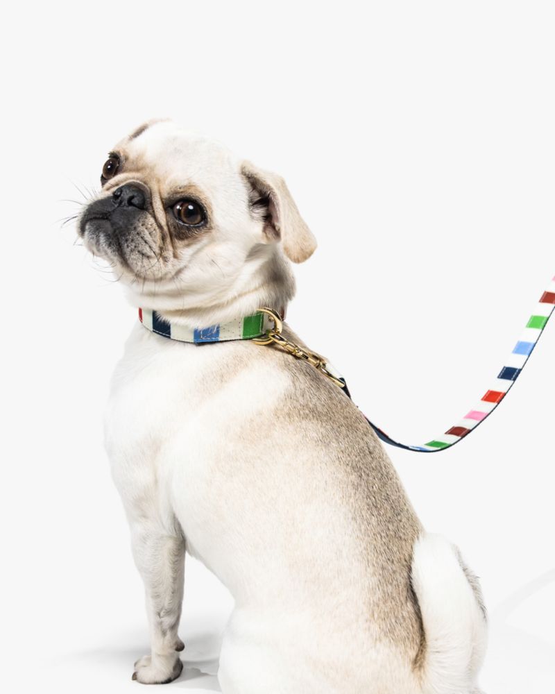 Kate Spade,Adventure Stripe Leash S/M,