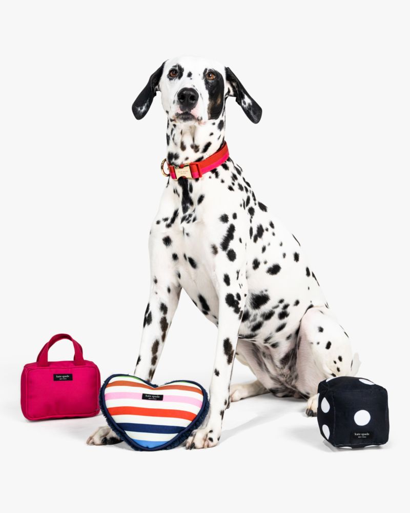 Kate spade dog backpack sale