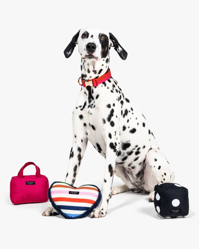 Kate Spade,Art Dot Dice Pet Toy,