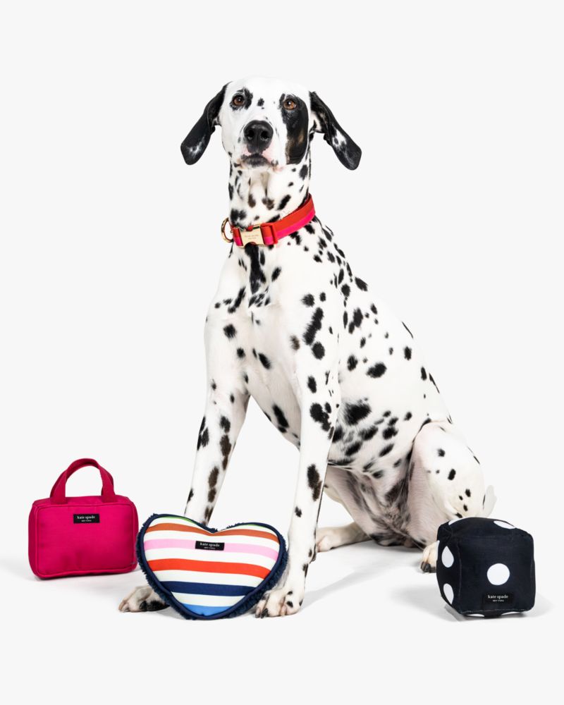 Kate spade pet outlet carrier