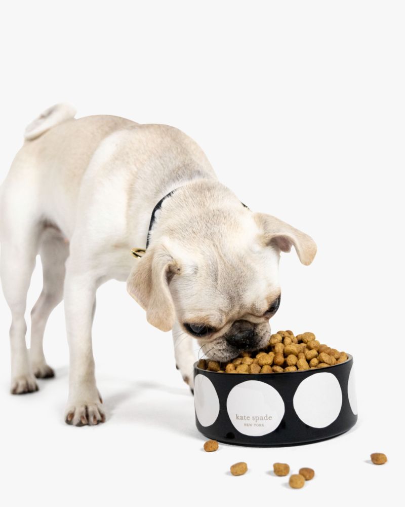 Kate Spade,Art Dot Bowl,