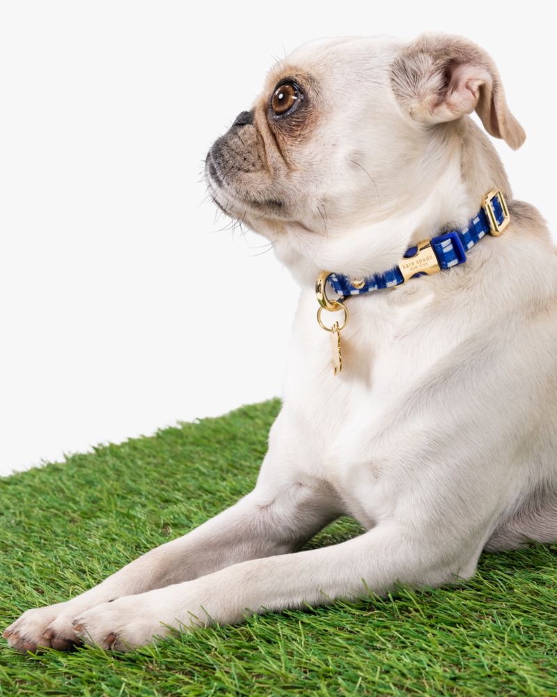 Kate Spade,Navy Gingham Collar,