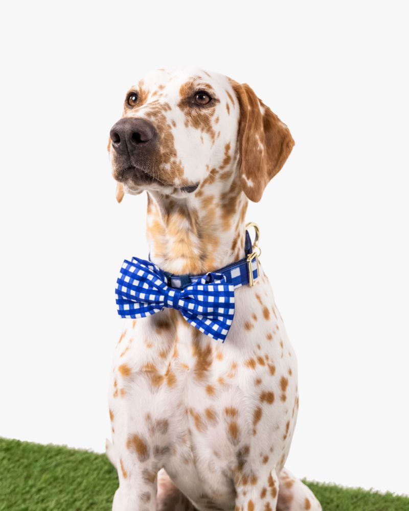 Kate Spade,Navy Gingham Bow Tie,