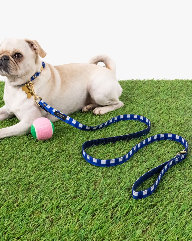 Kate Spade,Navy Gingham Leash S/m,