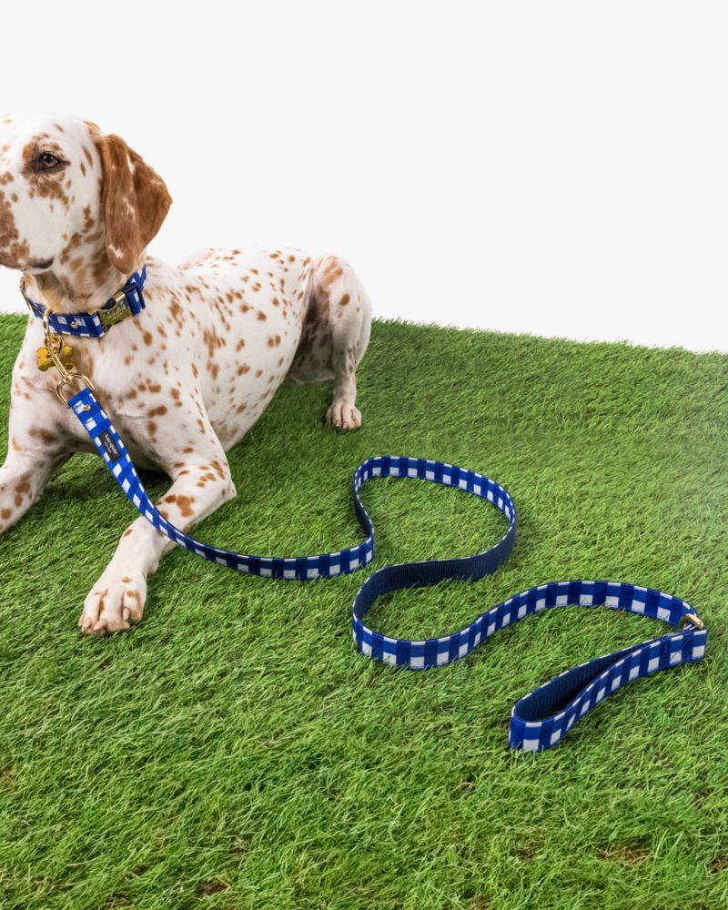 Kate spade dog leash best sale