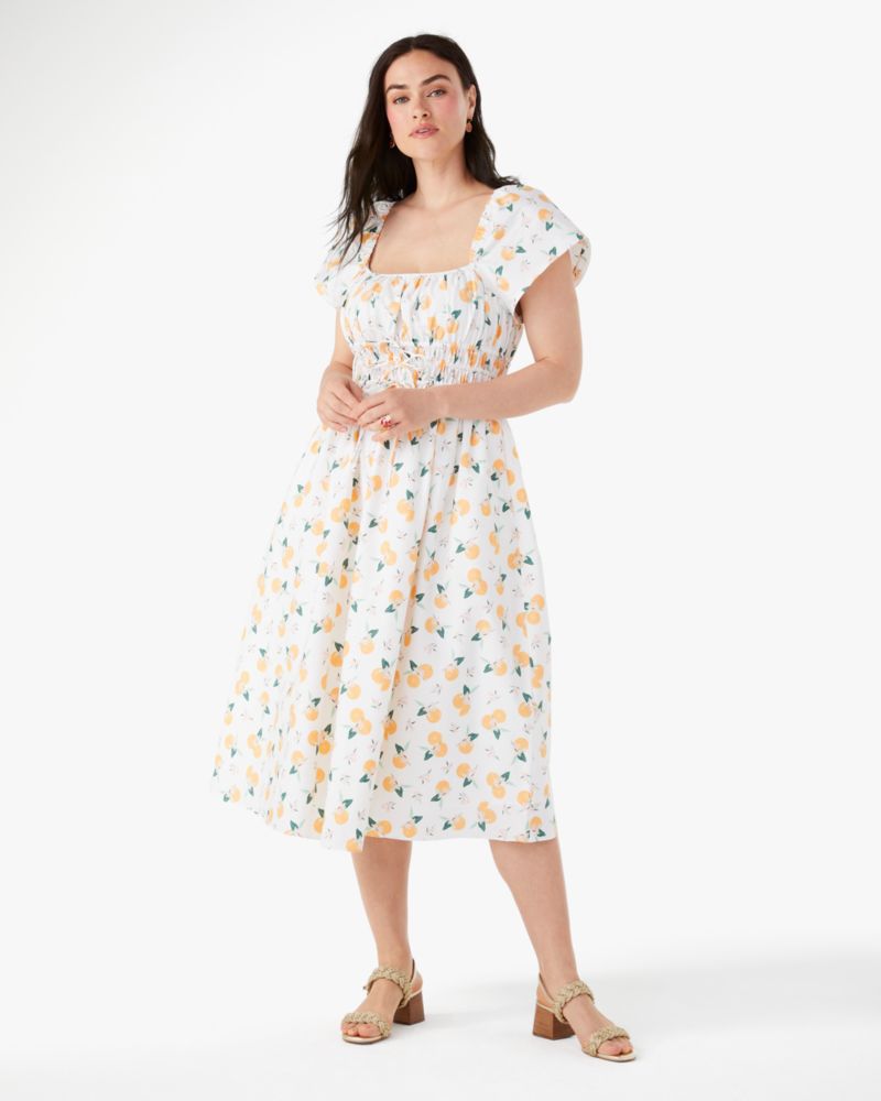 Botanical Floral Butterfly Print Cotton Fit-n-Flare Midi Dress