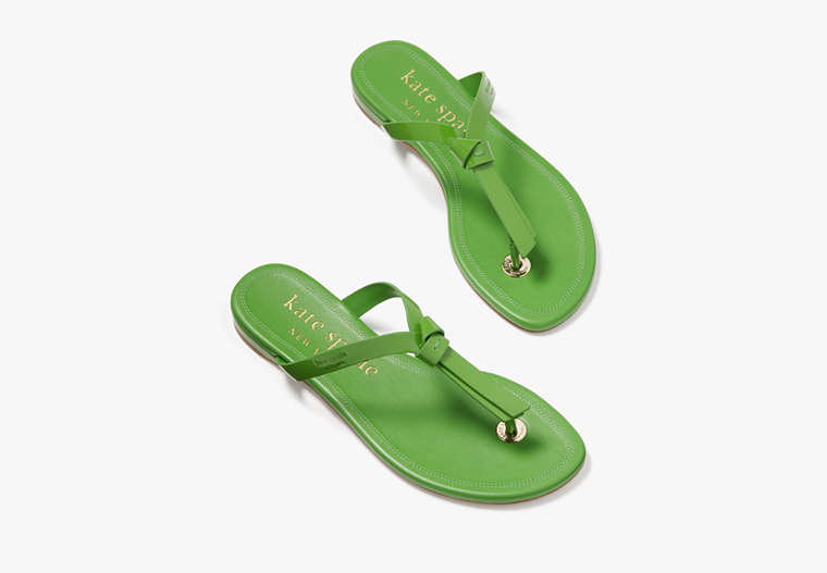 Kate Spade,Knott Slide Sandals,Casual,Ks Green image number 0