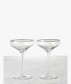 Kate Spade,Dirty & Neat Martini Glass Set,Clear
