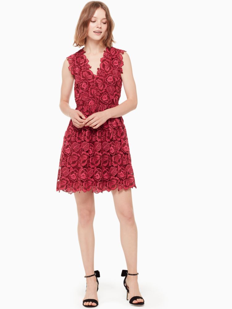 Bicolor Lace Dress, , Product
