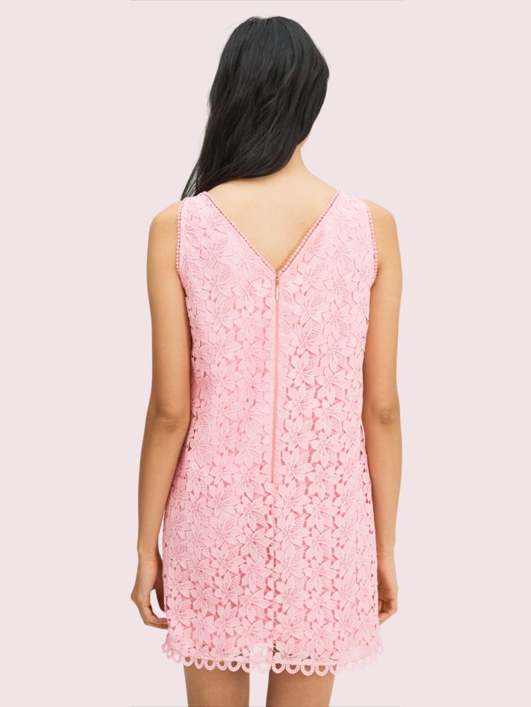 Kate spade lace outlet shift dress