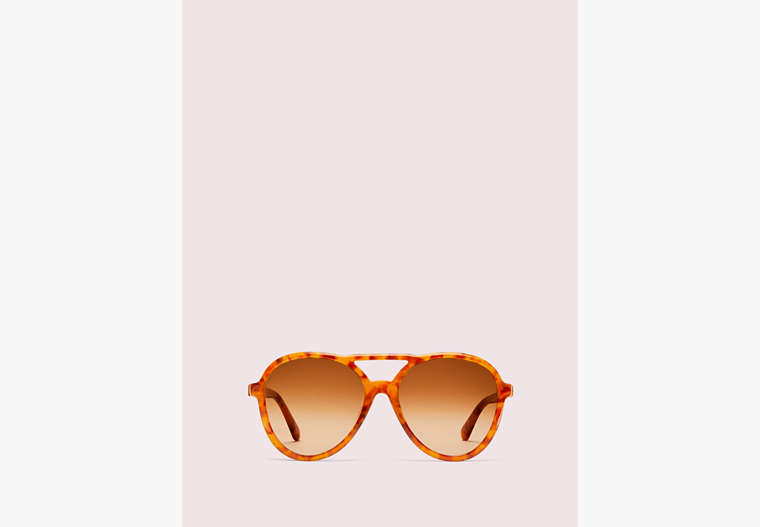 Kate Spade,norah sunglasses,sunglasses,Honey Havana image number 0