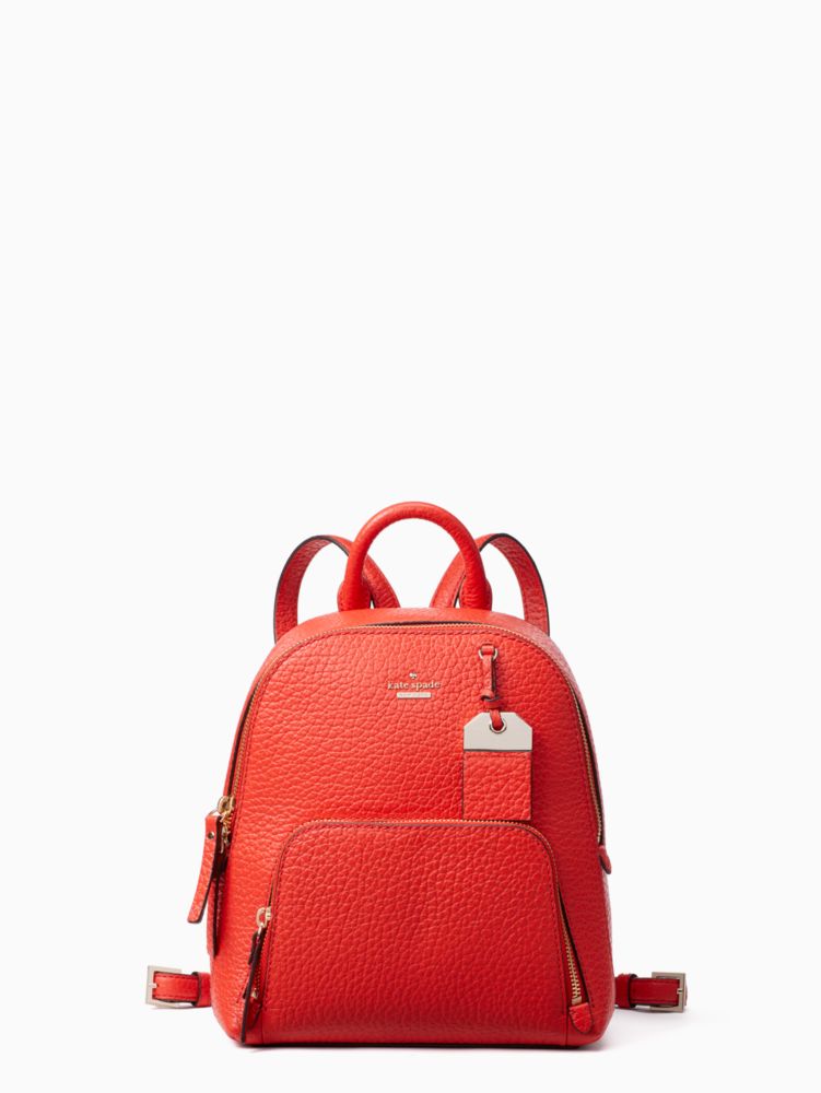 Kate spade carter outlet caden backpack