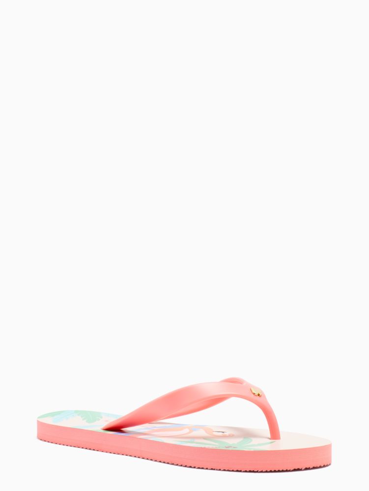 Kate spade flamingo deals flip flops