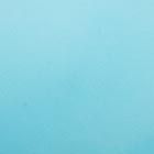 Kate Spade,miosotis flower studs,Turquoise