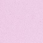 Kate Spade,Kenzie Boxed Medium Compact Wallet,Pink