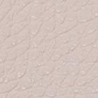 Kate Spade,Kayla Large Shoulder Bag,Leather,Shoulder Bag,Metal Material,Logo,Metal,Adjustable,Gold Metal,Casual,Cream