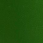 Kate Spade,Kip Clear Small Tote,Tote,Logo,Day Party,Green