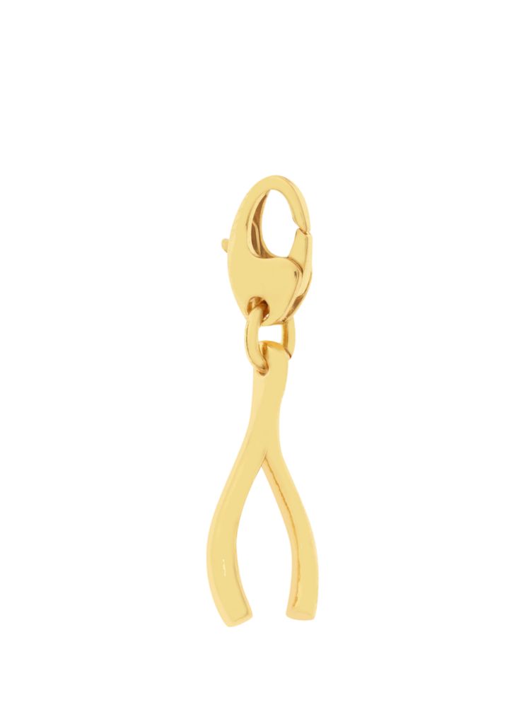 Wishbone Charm, , Product