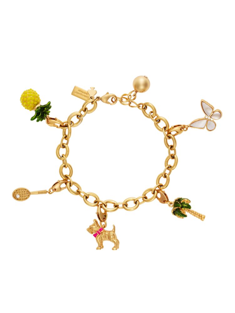 Kate Spade New York Cute Dog Collar, Gold Metal Buckle Dog Collar